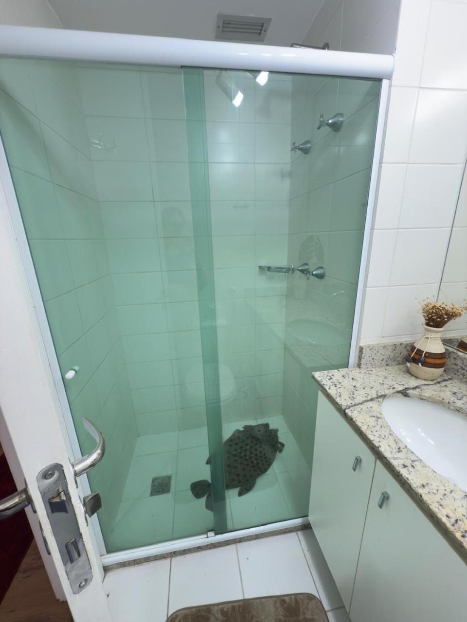 Apartamento Ap Da Graca!